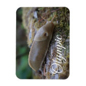 Nationaal Park Banana Slug in Mossy Log Magneet (Verticaal)