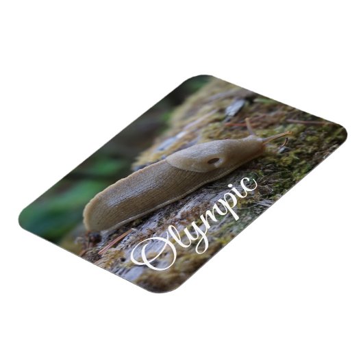 Nationaal Park Banana Slug in Mossy Log Magneet (Linkerzijde)