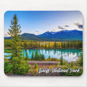Nationaal park Banff, Alberta, Canada Muismat