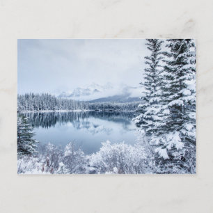 Nationaal park Banff in Winter Briefkaart