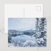 Nationaal park Banff in Winter Briefkaart (Voorkant / Achterkant)