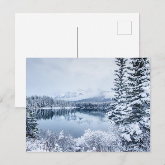 Nationaal park Banff in Winter Briefkaart (Voorkant / Achterkant)