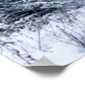 Nationaal park Banff in Winter Poster (Hoek)