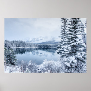 Nationaal park Banff in Winter Poster