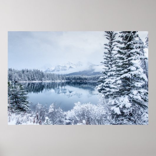 Nationaal park Banff in Winter Poster (Voorkant)