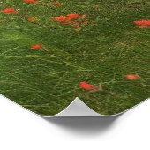 Nationaal Park Banff Poster (Hoek)