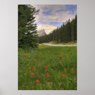 Nationaal Park Banff Poster
