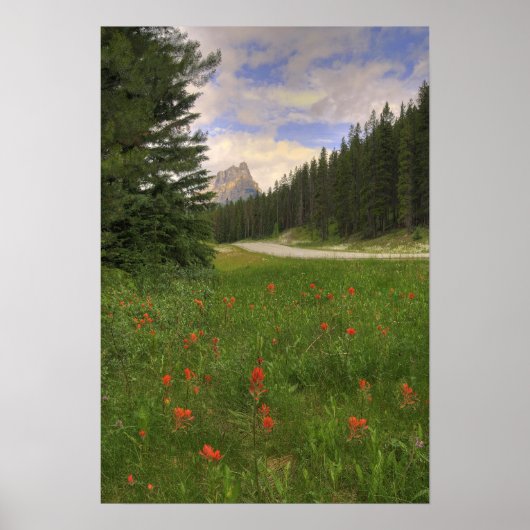 Nationaal Park Banff Poster (Voorkant)