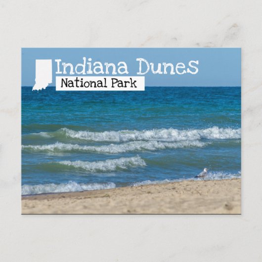 Nationaal Park Beach Indiana Dunes Briefkaart (Voorkant)