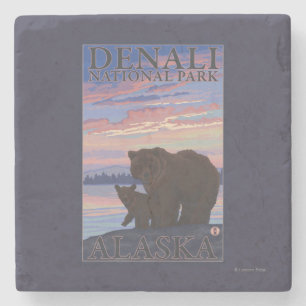 Nationaal Park beer en Cub - Denali, Alaska Stenen Onderzetter