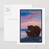 Nationaal park beer en Cub - Yellowstone Briefkaart (Voorkant / Achterkant)