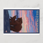 Nationaal park beer en Cub - Yellowstone Briefkaart (Voorkant)
