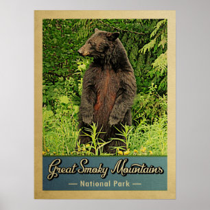 Nationaal Park Beer van de Grote Smoky Mountains Poster