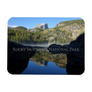 Nationaal Park Beer van het Rocky Mountain Magneet