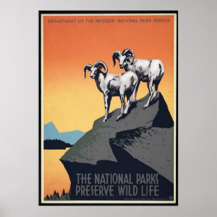  nationaal park bergen Sheep Travel poster