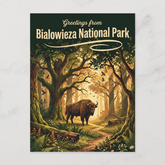 Nationaal Park Białowieża Polen Briefkaart (Voorkant)