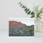Nationaal park Big Bend Briefkaart (Staand voorkant)