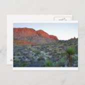 Nationaal park Big Bend Briefkaart (Voorkant / Achterkant)