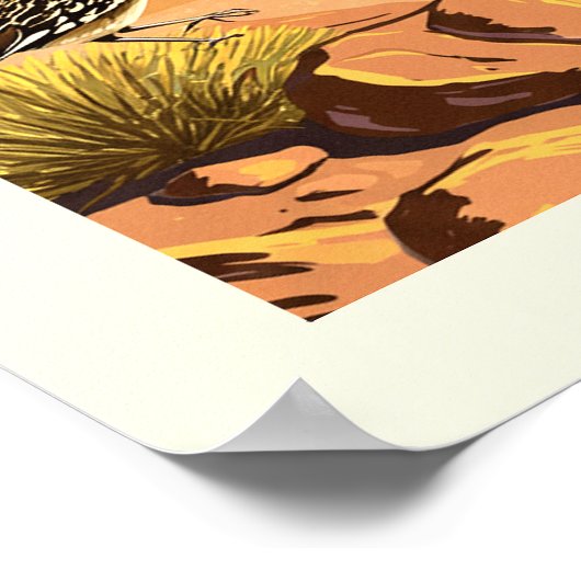  nationaal park Big Bend Poster (Hoek)