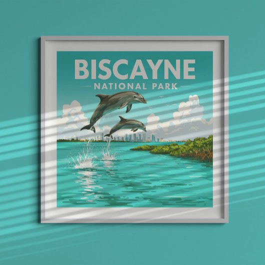 Nationaal Park Biscayne Poster