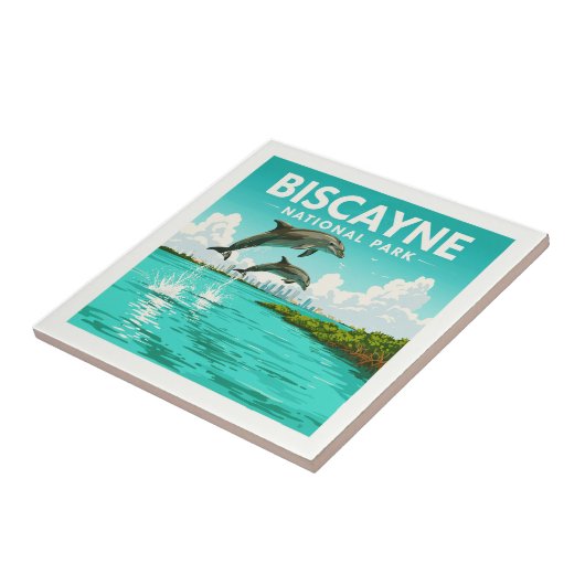 Nationaal Park Biscayne Tegeltje (Zijkant)