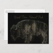 Nationaal park Bison en Forest Grand Teton Briefkaart (Voorkant / Achterkant)