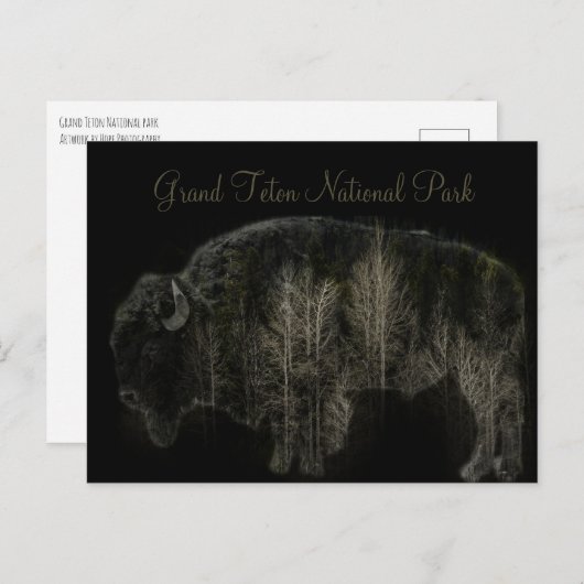 Nationaal park Bison en Forest Grand Teton Briefkaart (Voorkant / Achterkant)