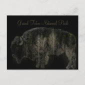 Nationaal park Bison en Forest Grand Teton Briefkaart (Voorkant)