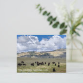 Nationaal Park Bison Fun Facts Yellowstone Briefkaart (Staand voorkant)