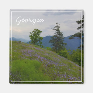 Nationaal park Borjomi-Kharagauli Georgia Kaukasus Magneet