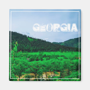 Nationaal park Borjomi-Kharagauli Georgia Kaukasus Magneet