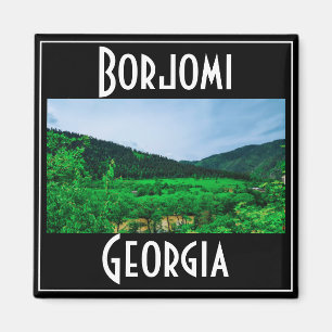 Nationaal park Borjomi-Kharagauli Georgia Kaukasus Magneet