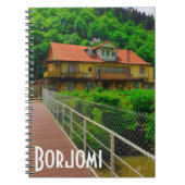 Nationaal park Borjomi-Kharagauli Georgia Kaukasus Notitieboek (Voorkant)