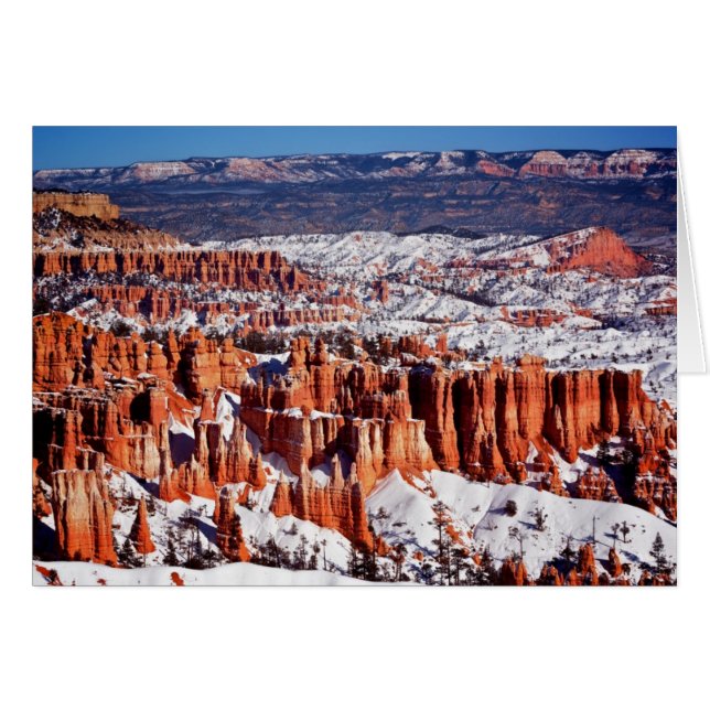 Nationaal Park Bryce Canyon (Voorkant Horizontaal)