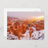 Nationaal Park Bryce Canyon Briefkaart (Voorkant / Achterkant)