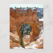 Nationaal Park Bryce Canyon Briefkaart (Voorkant)
