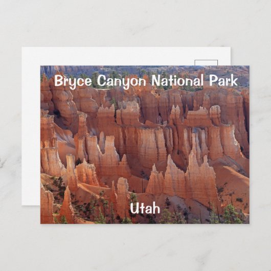 Nationaal Park Bryce Canyon Briefkaart (Voorkant / Achterkant)