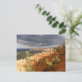 Nationaal Park Bryce Canyon Briefkaart (Staand voorkant)