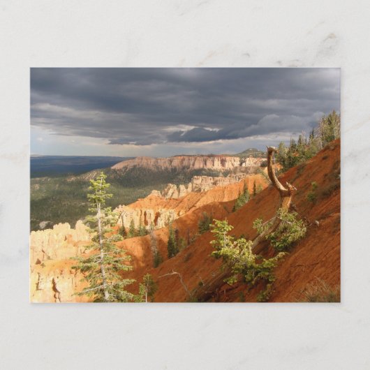Nationaal Park Bryce Canyon Briefkaart (Voorkant)