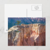 Nationaal Park Bryce Canyon Briefkaart (Voorkant / Achterkant)