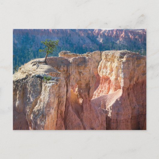 Nationaal Park Bryce Canyon Briefkaart (Voorkant)