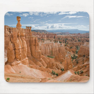 Nationaal Park Bryce Canyon Muismat