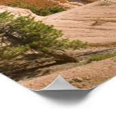 Nationaal Park Bryce Canyon Poster (Hoek)
