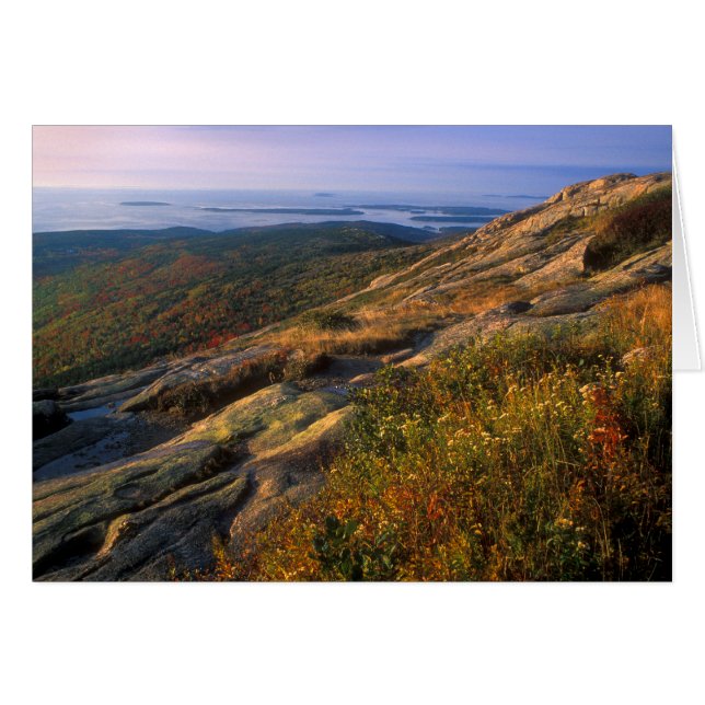 Nationaal park Cadillac Mountain Acadia (Voorkant Horizontaal)