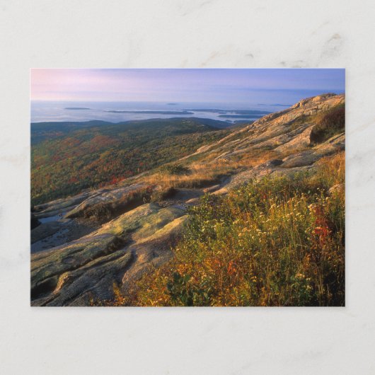 Nationaal park Cadillac Mountain Acadia Briefkaart (Voorkant)