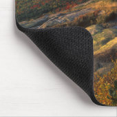 Nationaal park Cadillac Mountain Acadia Muismat (Hoek)