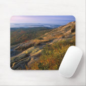 Nationaal park Cadillac Mountain Acadia Muismat (Met muis)