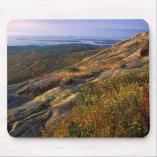 Nationaal park Cadillac Mountain Acadia Muismat
