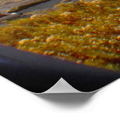 Nationaal park Cadillac Mountain Acadia Poster (Hoek)