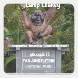 Nationaal park Camp Leakey Tanjung Puting Vierkante Sticker